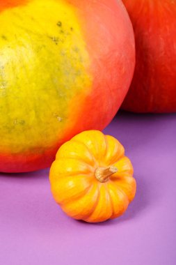 seçici odak ile turuncu kabak sebze