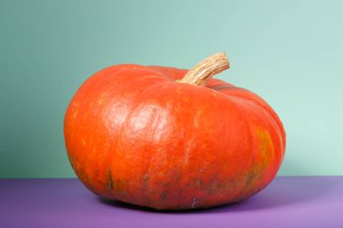 seçici odak ile turuncu kabak sebze