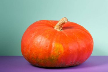 seçici odak ile turuncu kabak sebze