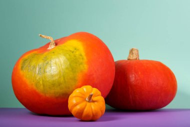 seçici odak ile turuncu kabak sebze