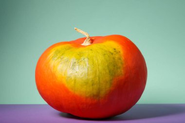 seçici odak ile turuncu kabak sebze