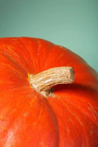 seçici odak ile turuncu kabak sebze