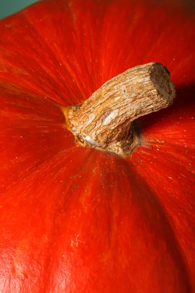 seçici odak ile turuncu kabak sebze