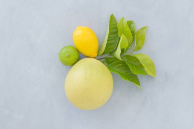 portakal, limon, limon bir gri doku arka plan üstten görünüm üzerinde yeşil yaprakları ile. karanlık bir arka plan üzerinde narenciye ile natürmort.