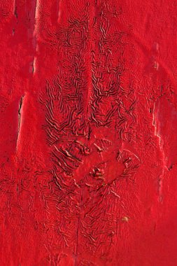 Doğal soyut doku çatlaklar ve çizikler ile arka plan renkli. Eski boya su ve saate göre yok. Parlak renkli yüzey.