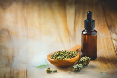 Hemp oil and cannabis plants legally planted on wooden floors.