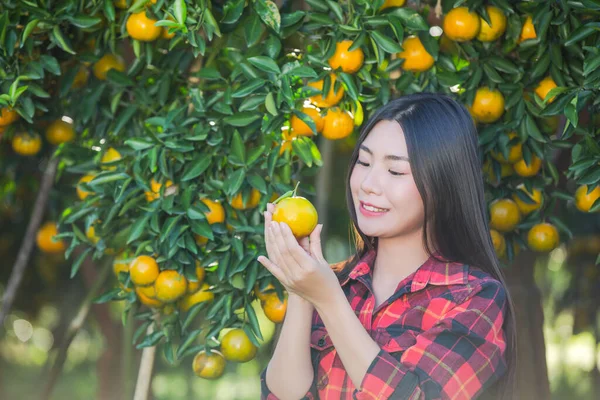 Young Woman Garden Harvest Orange Garden — 图库照片