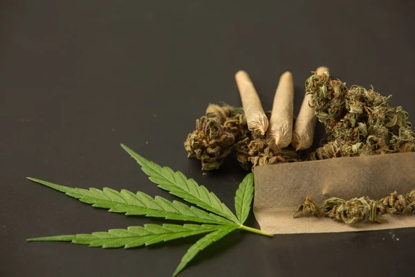 Marijuana Buds Marijuana Joints — Fotografia de Stock