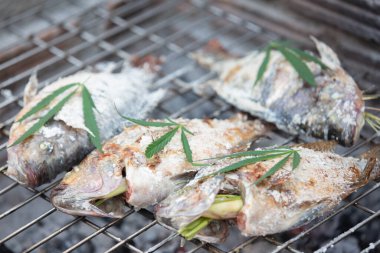 Izgara balık ve kenevir yaprakları.