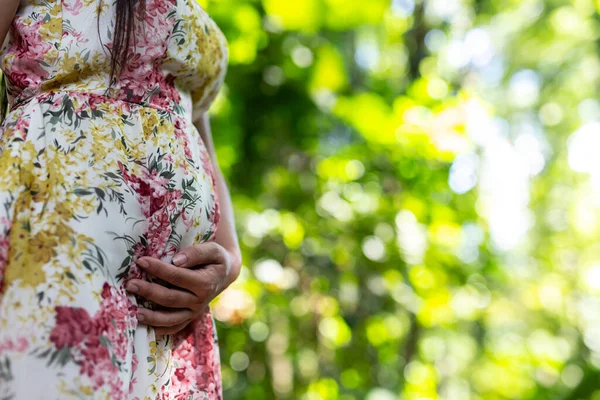 Pregnant woman wearing a maternity dress in a natural background