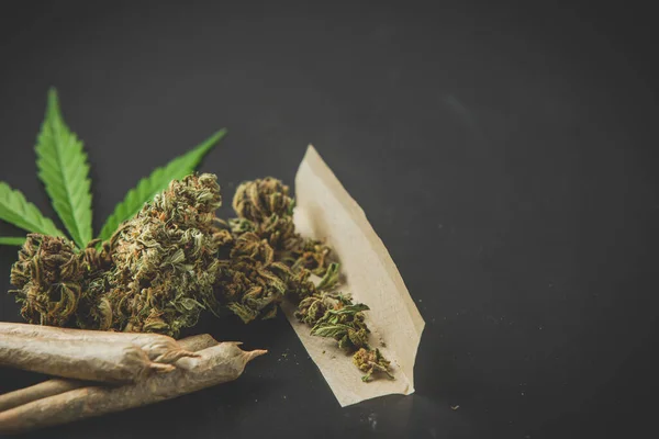 Marijuana Buds Marijuana Joints — Fotografia de Stock