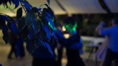 Parti, Milonga. Bitkinin yaprakları bir masada oturan insanların arka planına yakın planda ve çiftler tango yapıyor. Odaklanamıyorum, Bokeh. Novosibirsk. Sibirya.