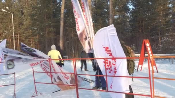 Berdsk Sibirien Russland Januar 2020 Jährliches Hundeschlittenrennen Die Menschen Bereiten — Stockvideo