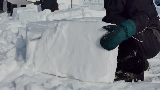 Ιγκλού Άνθρωποι Χτίζουν Ένα Igloo Από Κομμάτια Χιονιού Κλείσε Novosibirsk — Αρχείο Βίντεο