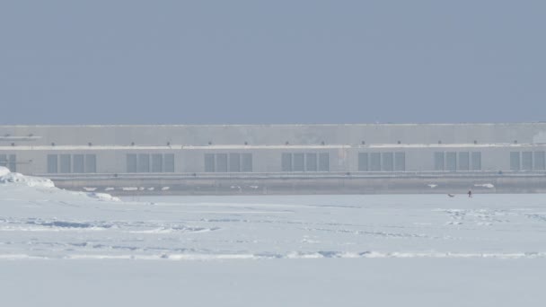 Central Hidroeléctrica Congelado Río Una Mujer Con Perro Está Hielo — Vídeos de Stock