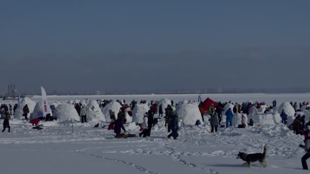 Novosibirsk Rusia Siberia Febrero 2020 Fiesta Anual Ciudad Esquimal Una — Vídeos de Stock