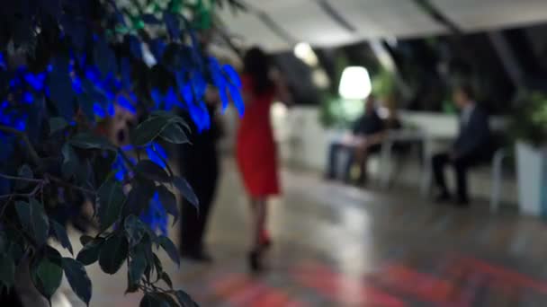 Вечеринка Милонга Листья Растения Крупным Планом Фоне Людей Сидящих Столом — стоковое видео
