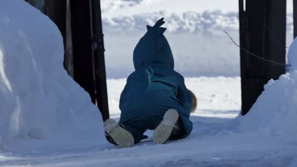 孩子们一个穿着冬衣的小孩沿着房子附近结冰的小径爬向猫 西伯利亚 — 图库视频影像