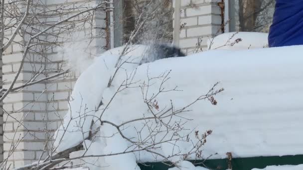 雪のクリアランス 男は雪のシャベルで家のガレージから雪をダンプするために階段を登る シベリアだ 失せろ — ストック動画