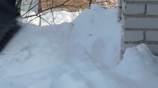 Snöröjning Man Tar Bort Snö Med Spade Sibirien Närbild — Stockvideo