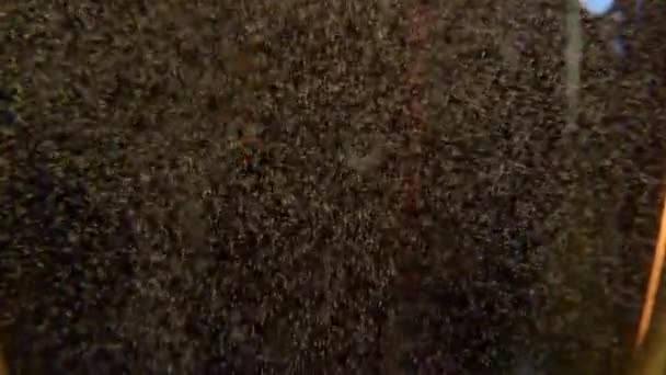 Noël, Nouvel An, Fêtes. Bulles dans un verre de champagne. Vidéo de fond. Ferme là. Macro .