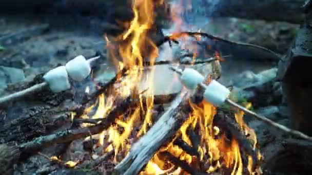 Adventures Nature Adventures Nature Marshmallow Sticks Baked Fire Close Siberia — Stock Video