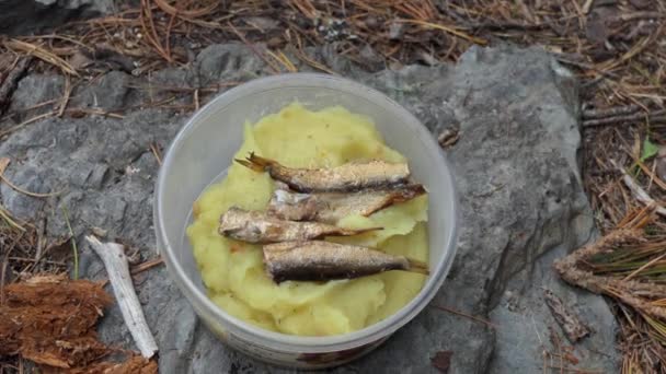 Plate Potatoes Made Sublimate Sprats Close Siberia — Stock Video