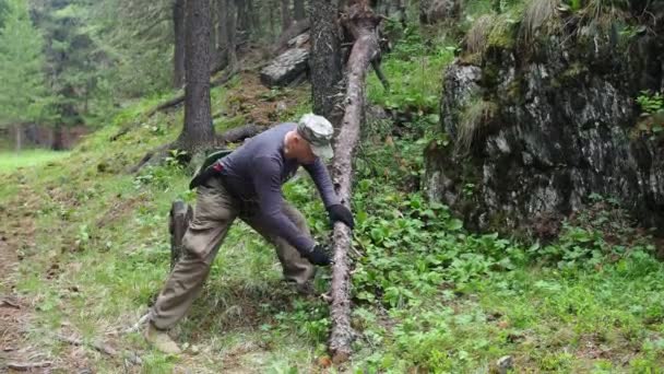 모험적 사람들은 장작더미를 불에타 기위한 나무를 자르고 있었다 시베리아 — 비디오