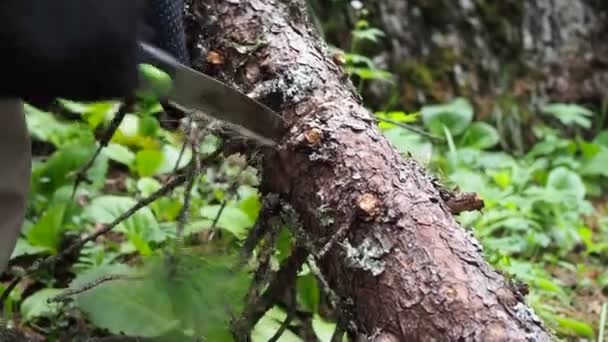 Aventuras Naturaleza Hombre Aserrando Una Sierra Plegable Para Fuego Cerca — Vídeo de stock