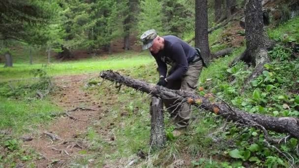 Przygody Natury Człowiek Piła Składana Drewna Ognia Syberia — Wideo stockowe