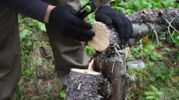 Avontuur Natuur Een Man Die Een Vouwzaag Hout Zaagt Voor — Stockvideo