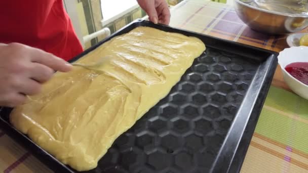 Proste Jedzenie Pieczenie Ciasta Kobieta Rozprowadza Płynne Ciasto Tacy Pieczenia — Wideo stockowe