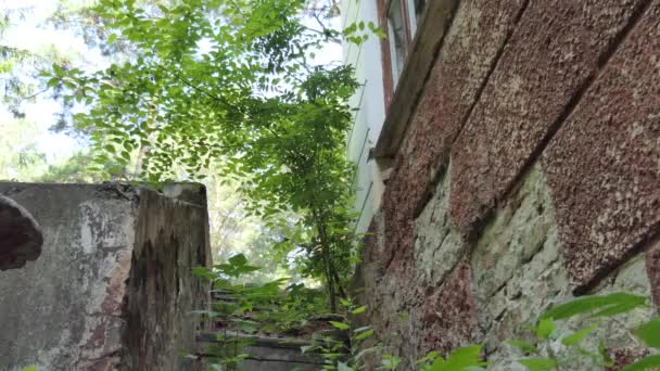 Paranormal Place Young Woman Cyclist Examines Old Destroyed Buildings Stairs — Stock Video