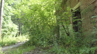 Paranormal bir yer, paranormal. Genç bir kadın bisikletçi ormandaki eski yıkılmış binaları inceliyor. Sibirya.