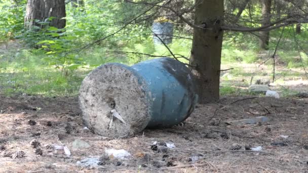 超常現象の場所 超常現象 森の中に老朽化したコンクリートゴミ箱うそ 閉めろ シベリア — ストック動画