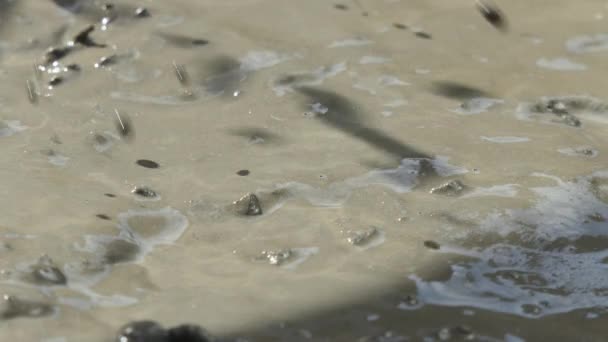 Béton Fonctionne Maison Excès Liquide Verser Béton Bétonnière — Video