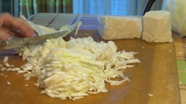 Vegetarianism Simple Meal Home Canning Woman Finely Cuts Cabbage Knife — Stock Video