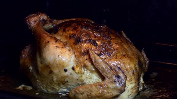 クリスマスだ 新年だ 簡単な食事だ 鶏はオーブンで焼かれる 閉じろ — ストック動画