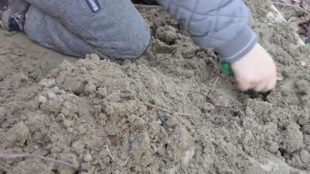 Kinderen Handen Van Een Kind Dat Het Zand Speelt Sluitingsdatum — Stockvideo