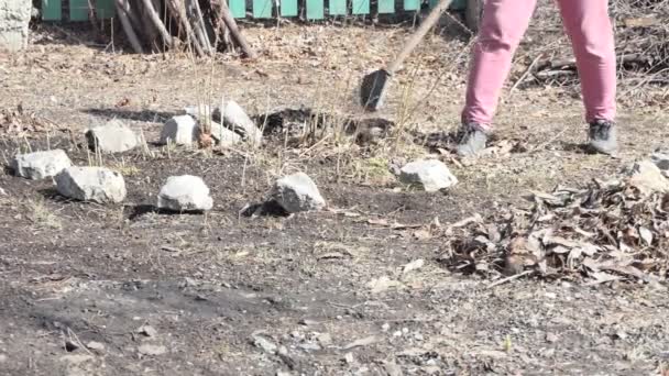 Travailler Dans Jardin Les Pieds Une Femme Qui Ramasse Vieilles — Video