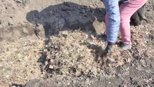 Werk Tuin Vrouw Wiegt Oude Droge Bladeren Het Gat Gegoten — Stockvideo