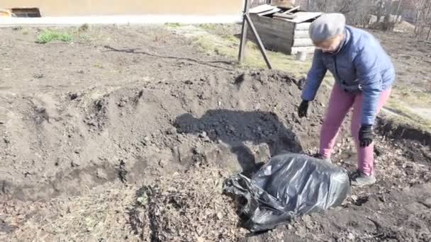 庭で働いてください 女性は乾燥した葉を袋から土の穴に注ぎ 彼女が地球でそれらをカバーし ベッドを作ることができるように彼女の手でそれらをレベルします — ストック動画