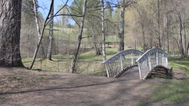 自我隔离 一位戴医疗面具的女骑手穿过公园里的一座小桥 — 图库视频影像