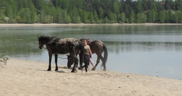 Novosibirsk Rusland Siberië Mei 2020 Paarden Een Man Een Vrouw — Stockvideo