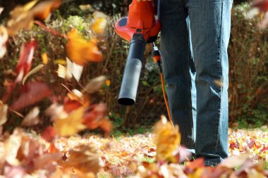 Man working with  leaf blower: the leaves are being swirled up and down on a sunny day clipart