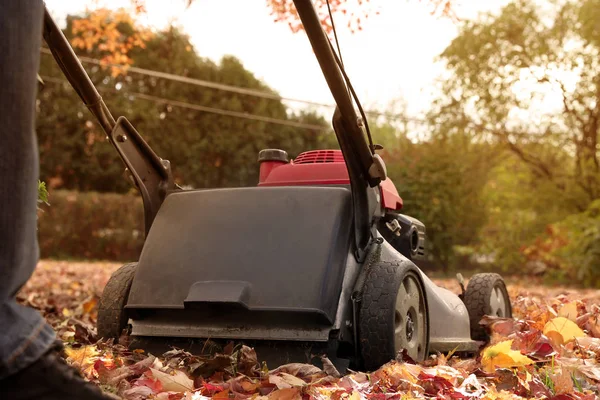 Man verzamelen oude herfst bladeren door gazon Mover — Stockfoto