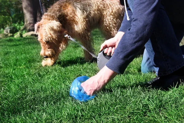 Adam alacak / köpek pisliği Temizleme