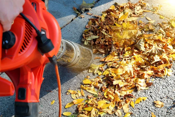 Man working with  leaf blower: the leaves are being swirled up and down on a sunny day — Stock Photo, Image