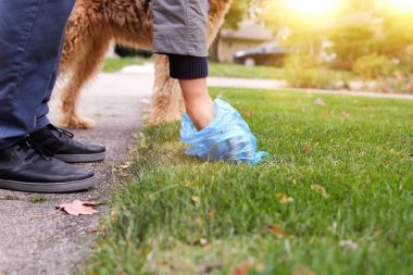 Adam alacak / köpek pisliği Temizleme