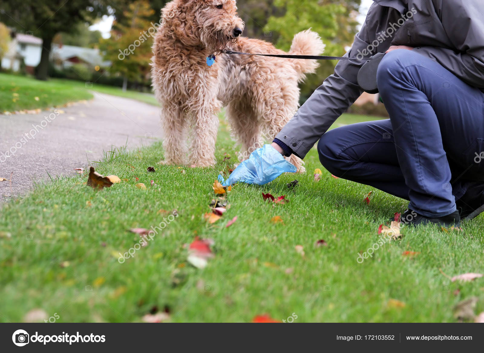 уборка за собакой. убирать за собакой. убирайте за собаками знак. уборка собачьих экскрементов. уборка за собаками на улице.